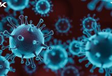 Photo of Пандемия COVID-19: обновления по всему миру