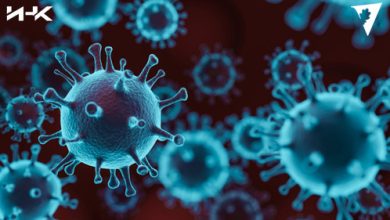 Photo of Пандемия COVID-19: обновления по всему миру