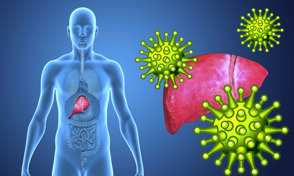 Фото 30 — Гепатит В: прививки и диагностика