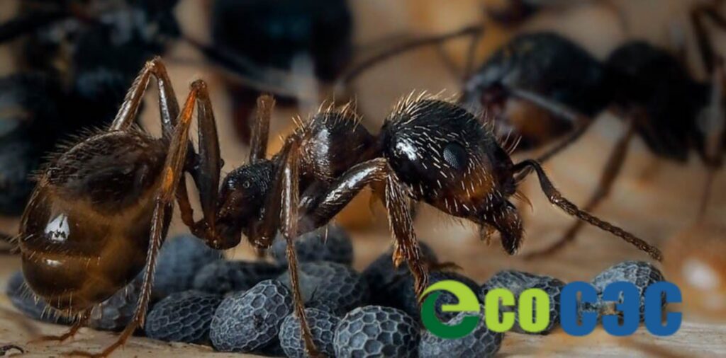 Фото 7 — Эффективные способы борьбы с гастритом