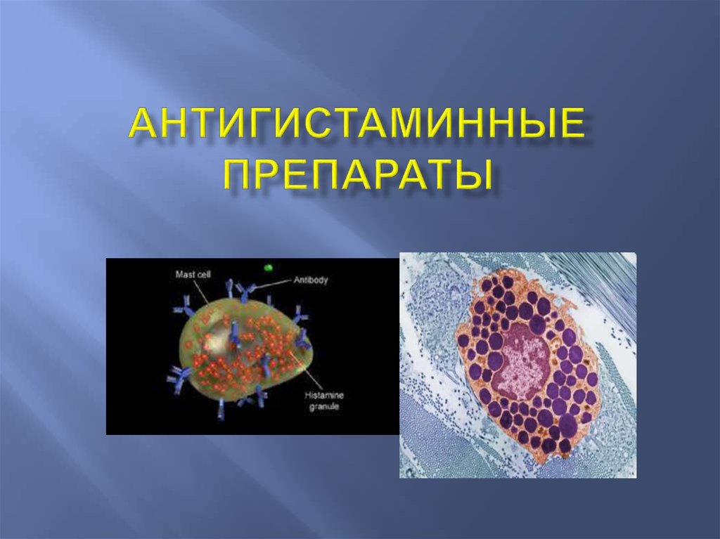 Фото 2 — Аллергия: антигистаминные препараты и тесты