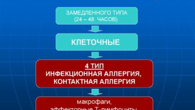 Photo of Симптомы и методы лечения аллергических реакций