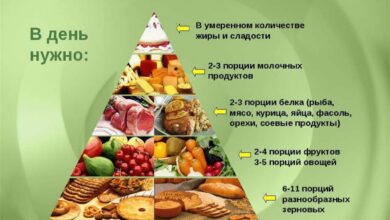 Photo of Значение правильного питания для здоровья