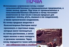 Photo of Влияние окружающей среды на здоровье и способы защиты